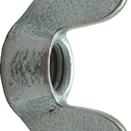 Collection image for: Vleugelmoeren
