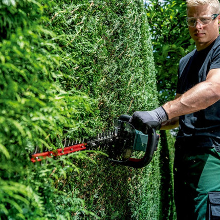 Afbeelding - 0172400a_06