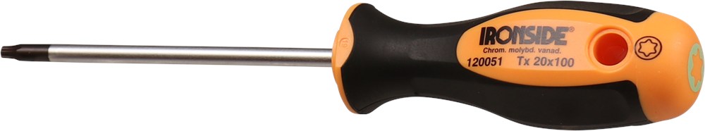 Torx schroevendraaier Ironside