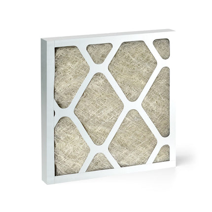 200301 Painter filter 1