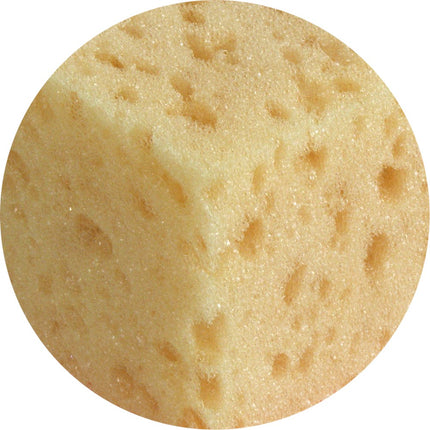 Gedatailleerde afbeelding 20905_d_01