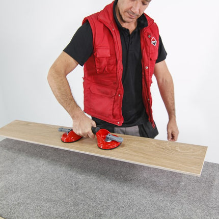 Toepassingsafbeelding 66952_a_07