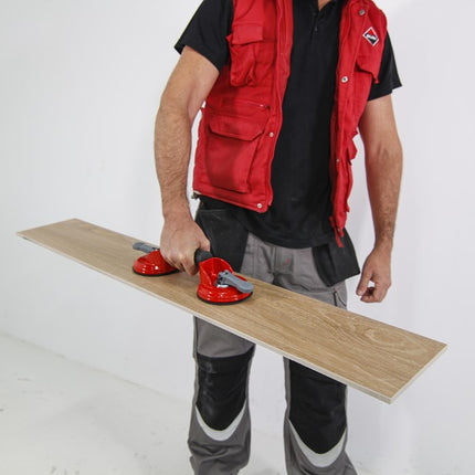 Toepassingsafbeelding 66952_a_10