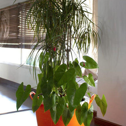 Toepassingsafbeelding 88724_a_01