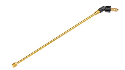 IMB55019