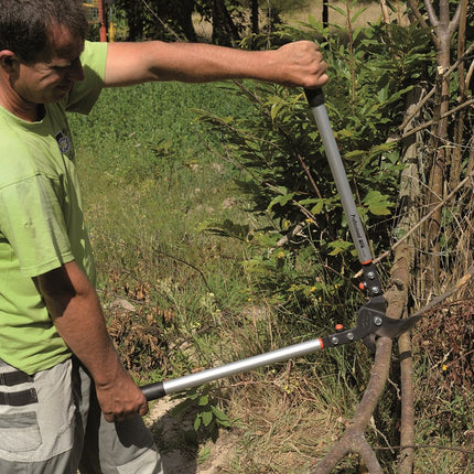 Afbeelding BAHCO takkenschaar professionele reeks P19