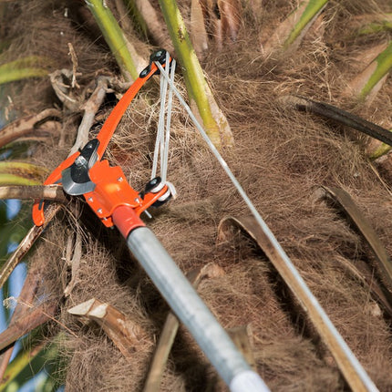 Afbeelding BAHCO rupsenschaar traditionele reeks P34-37