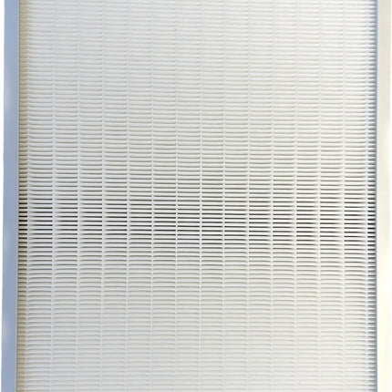 HEPA filter DDB12000