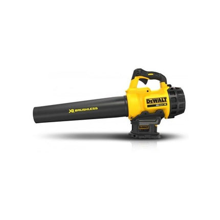 DCMHT562P1-QW 18V XR Bladblazer