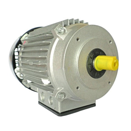 Imer Motor 230V Syntesi 350L