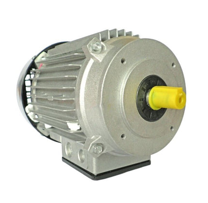 Imer Motor 230V Syntesi 350L